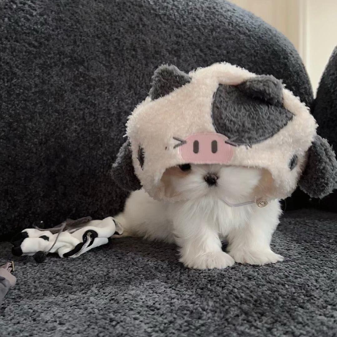 今天早点睡