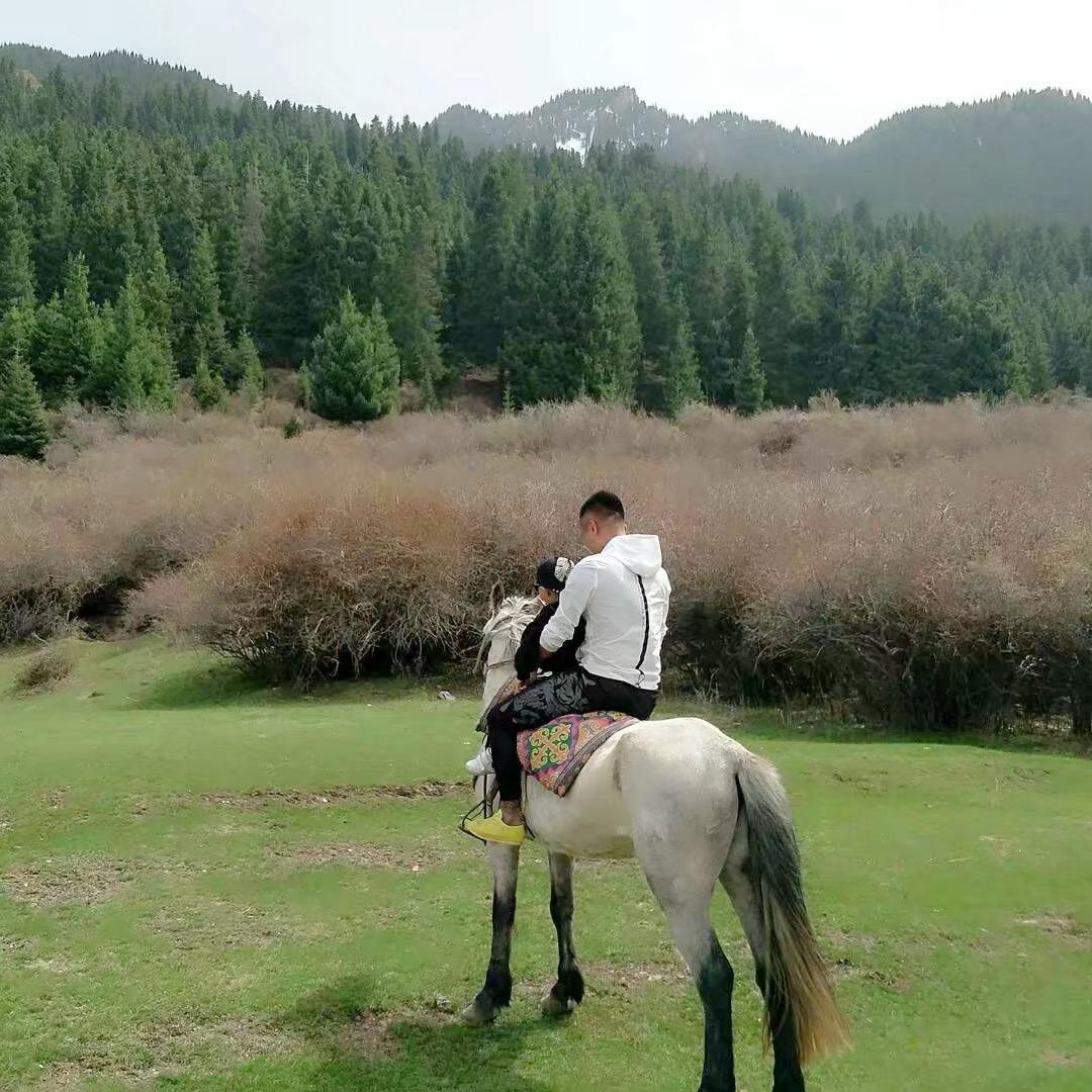 丝路珍馔·肖老板