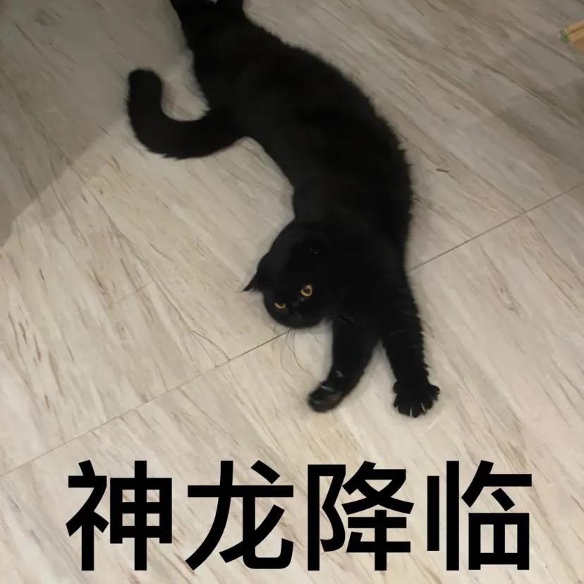 zz