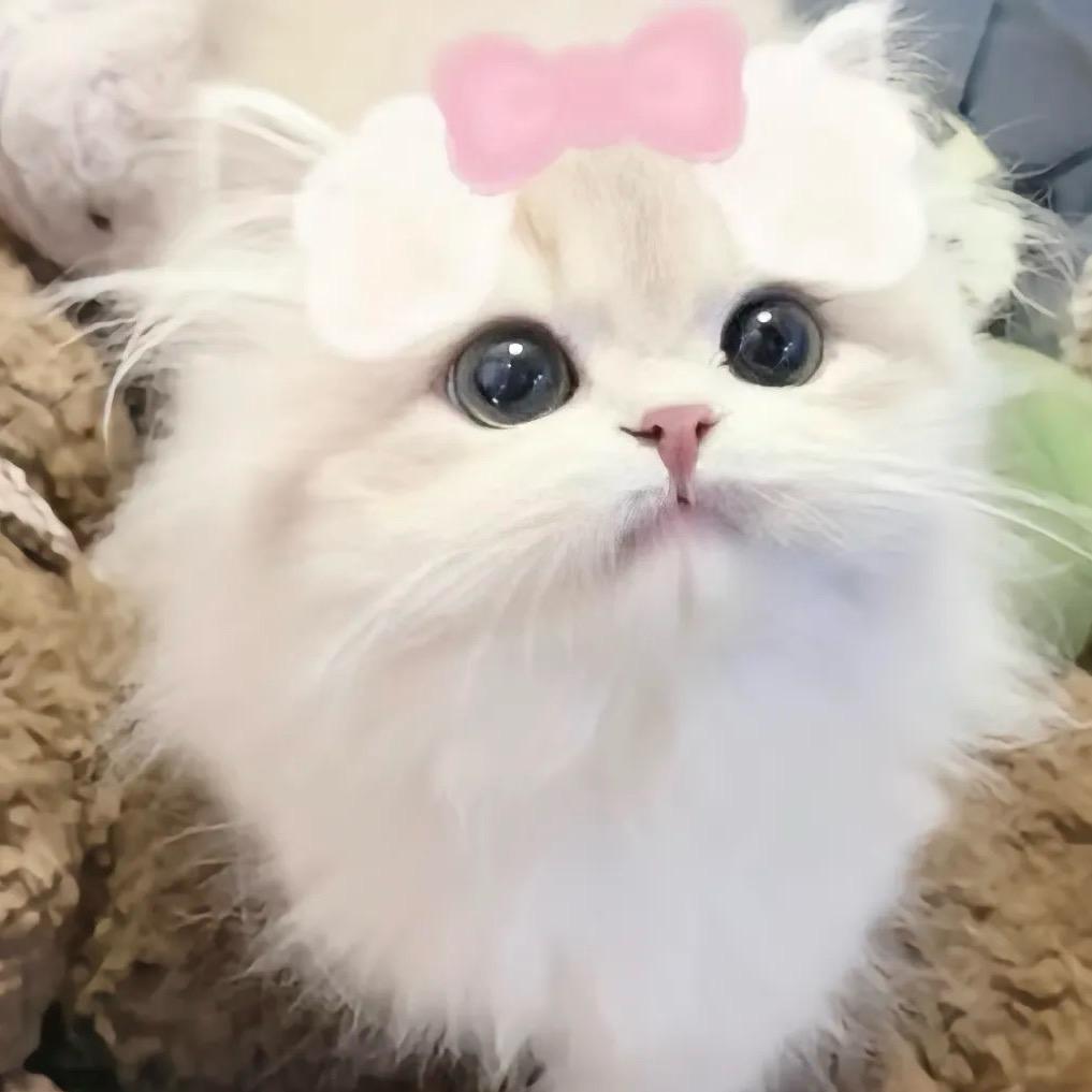 喵