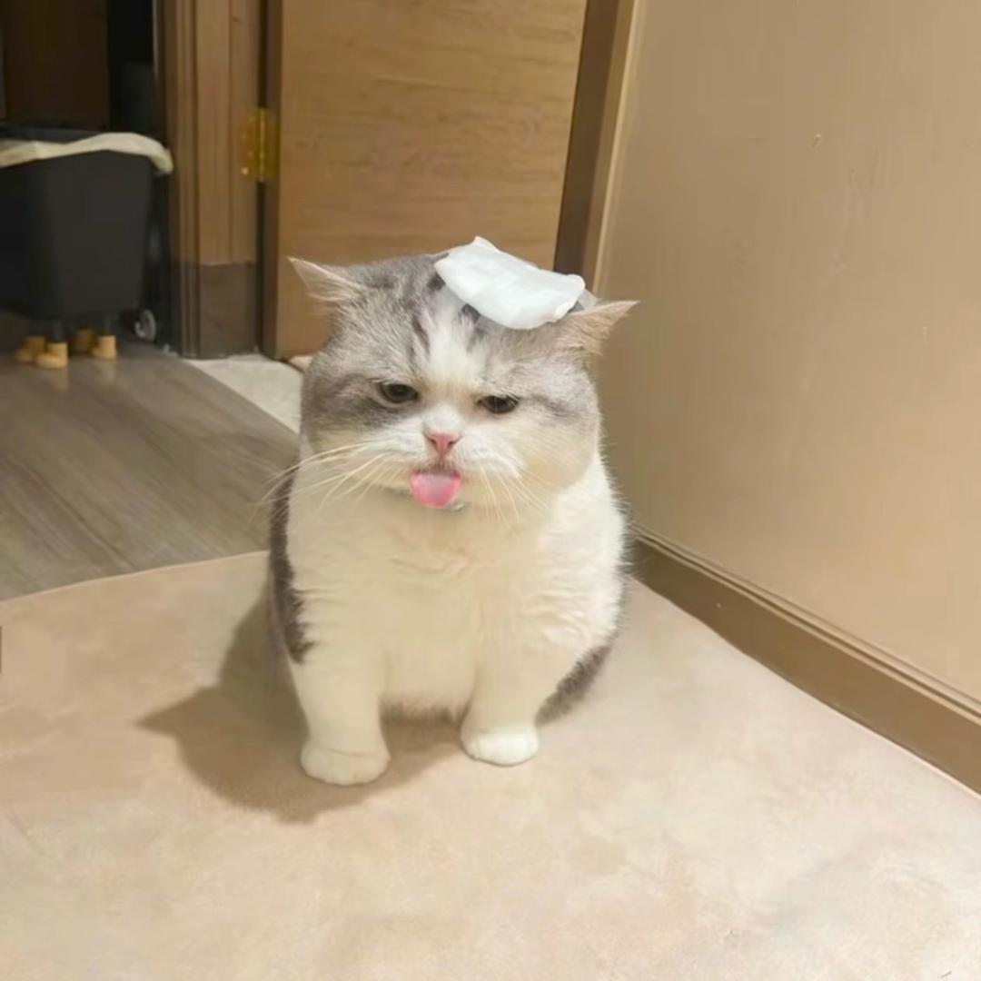 “.”