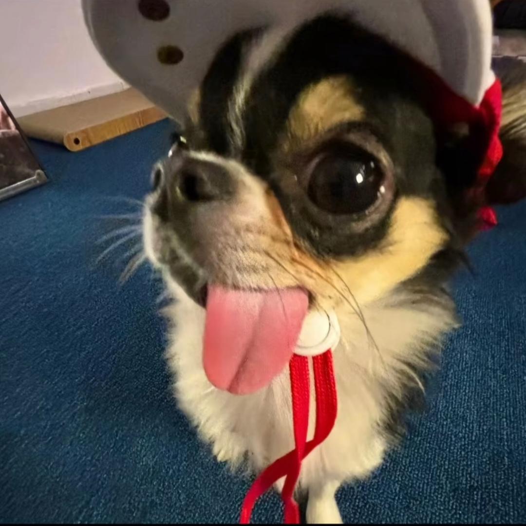 小牙签