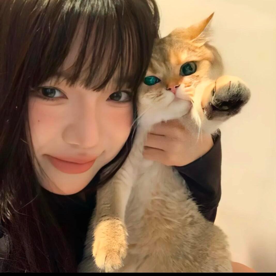 旺崽大馒头ꪔ̤̮