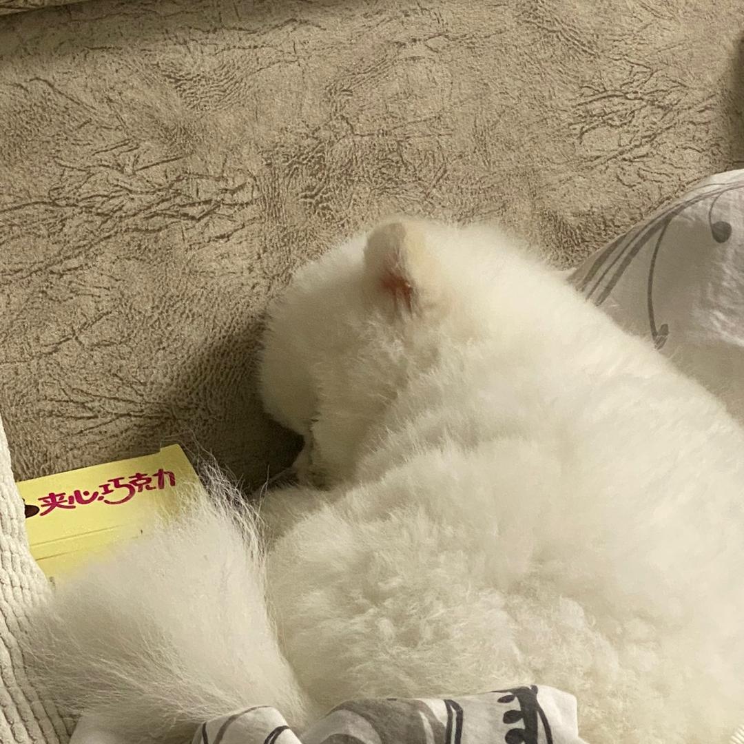 选择我吗