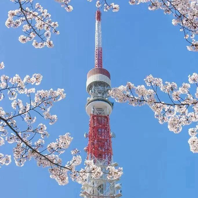 山哥休闲