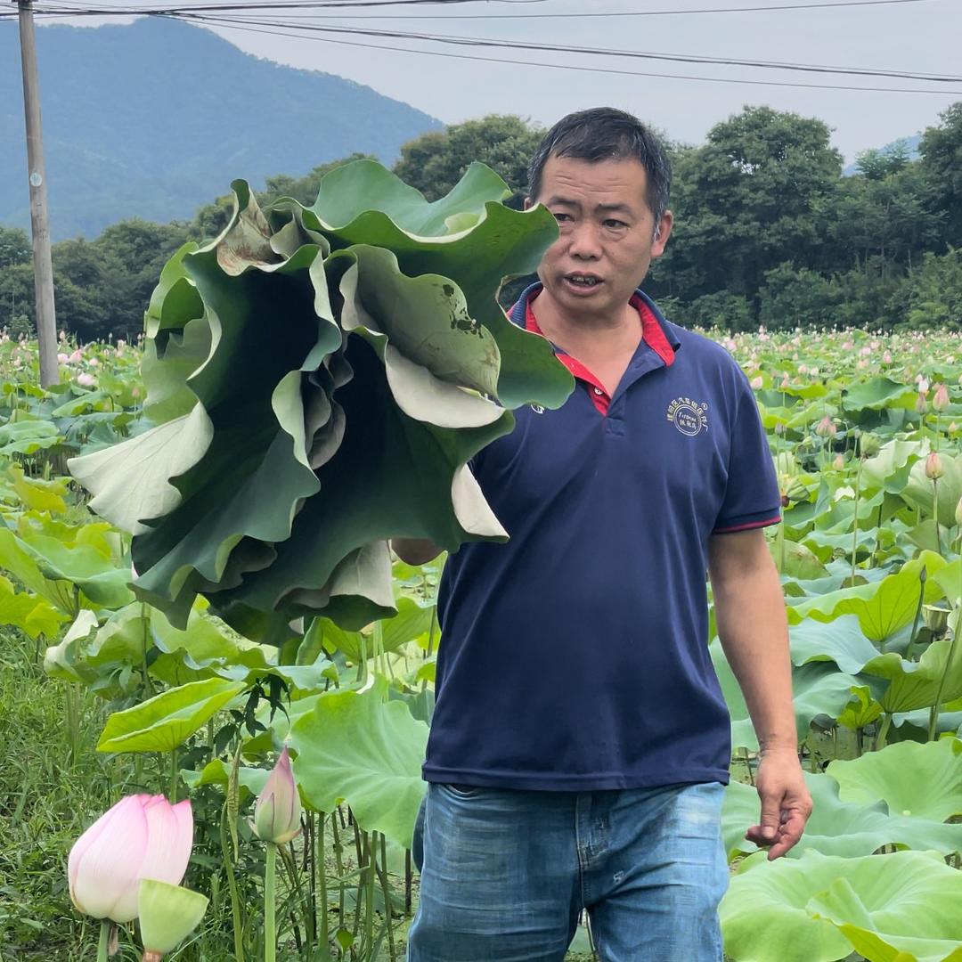 乡厨（良民）
