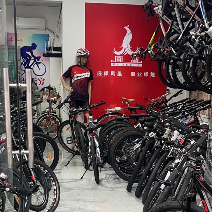 凤凰、永久常州总经销