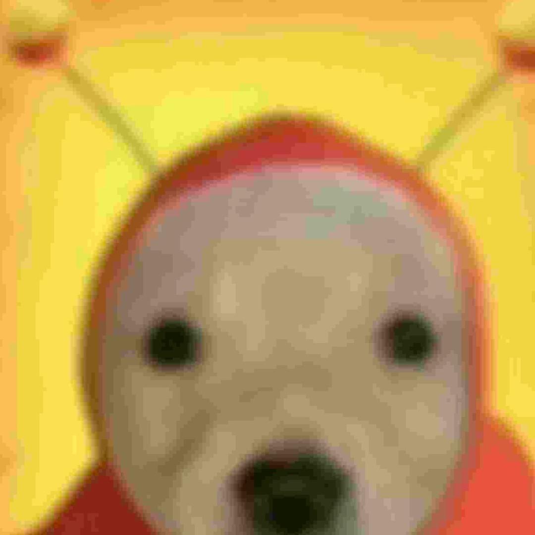 ((._.)