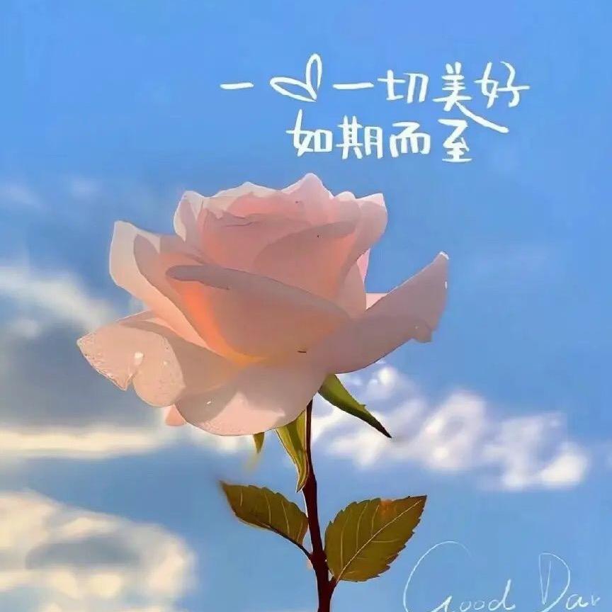 乐乐园艺店