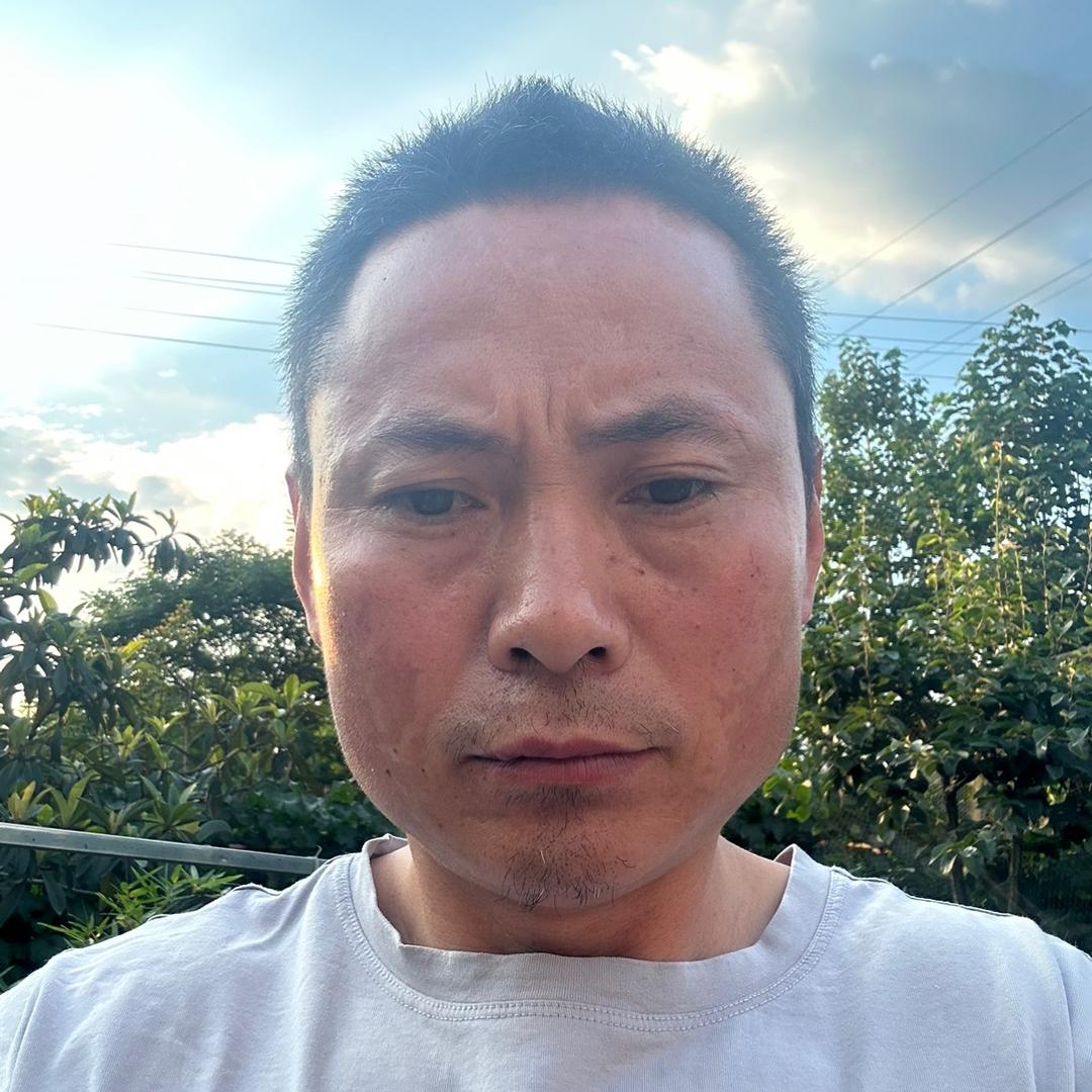 侯歌