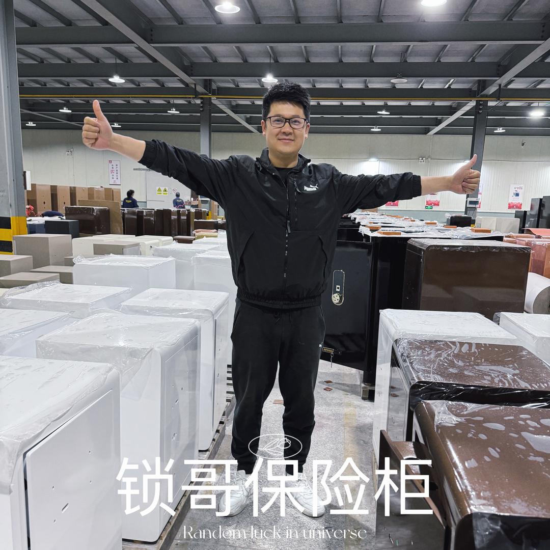 锁哥保险柜安全屋利平