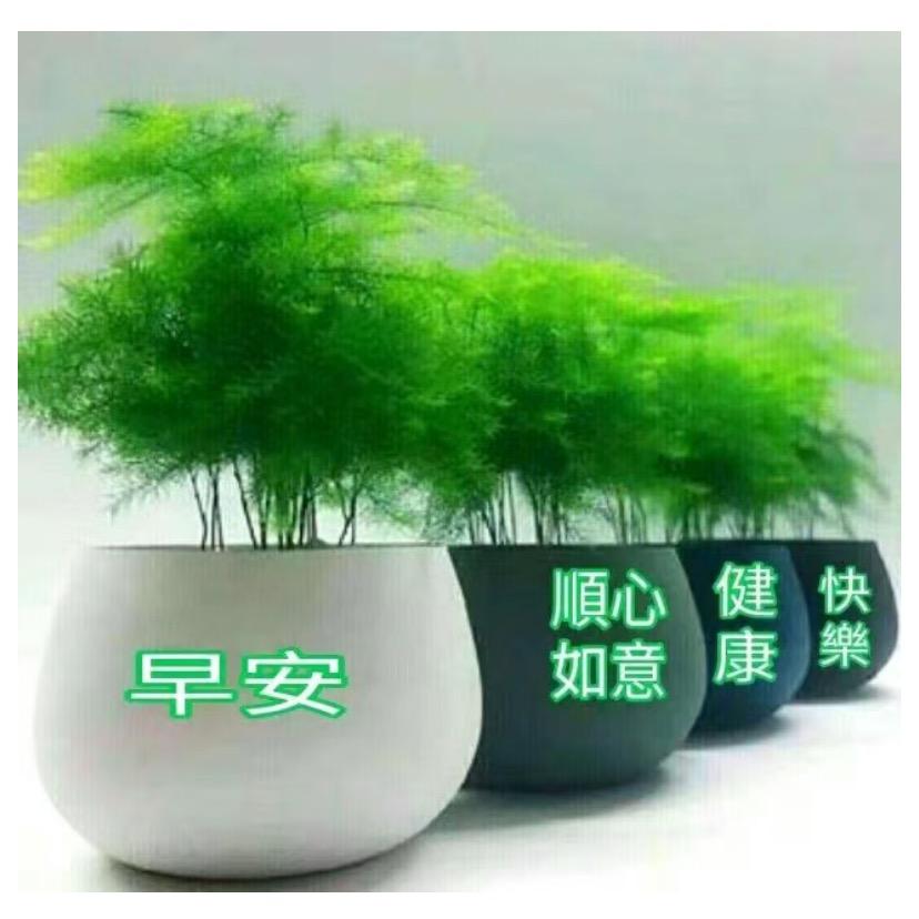 美丽的彩虹🌈