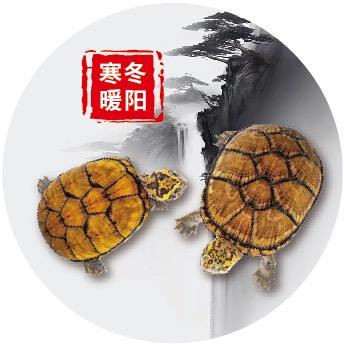 寒冬暖阳（客服号）