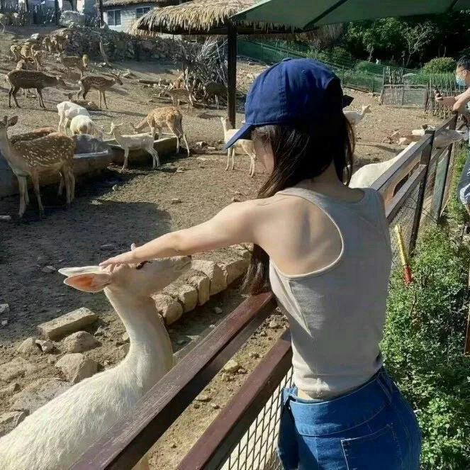 晚 安/