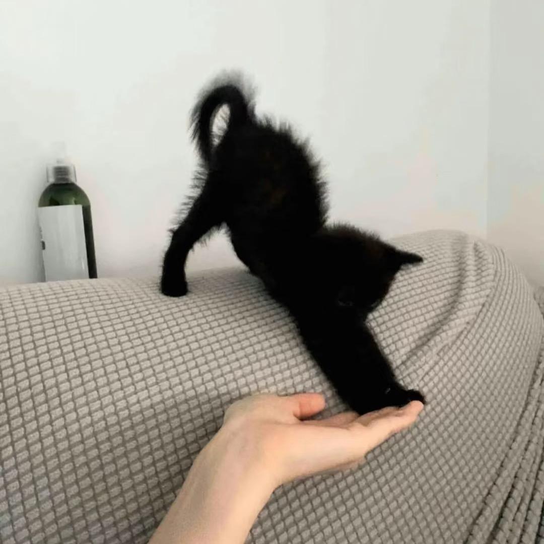 佳宜