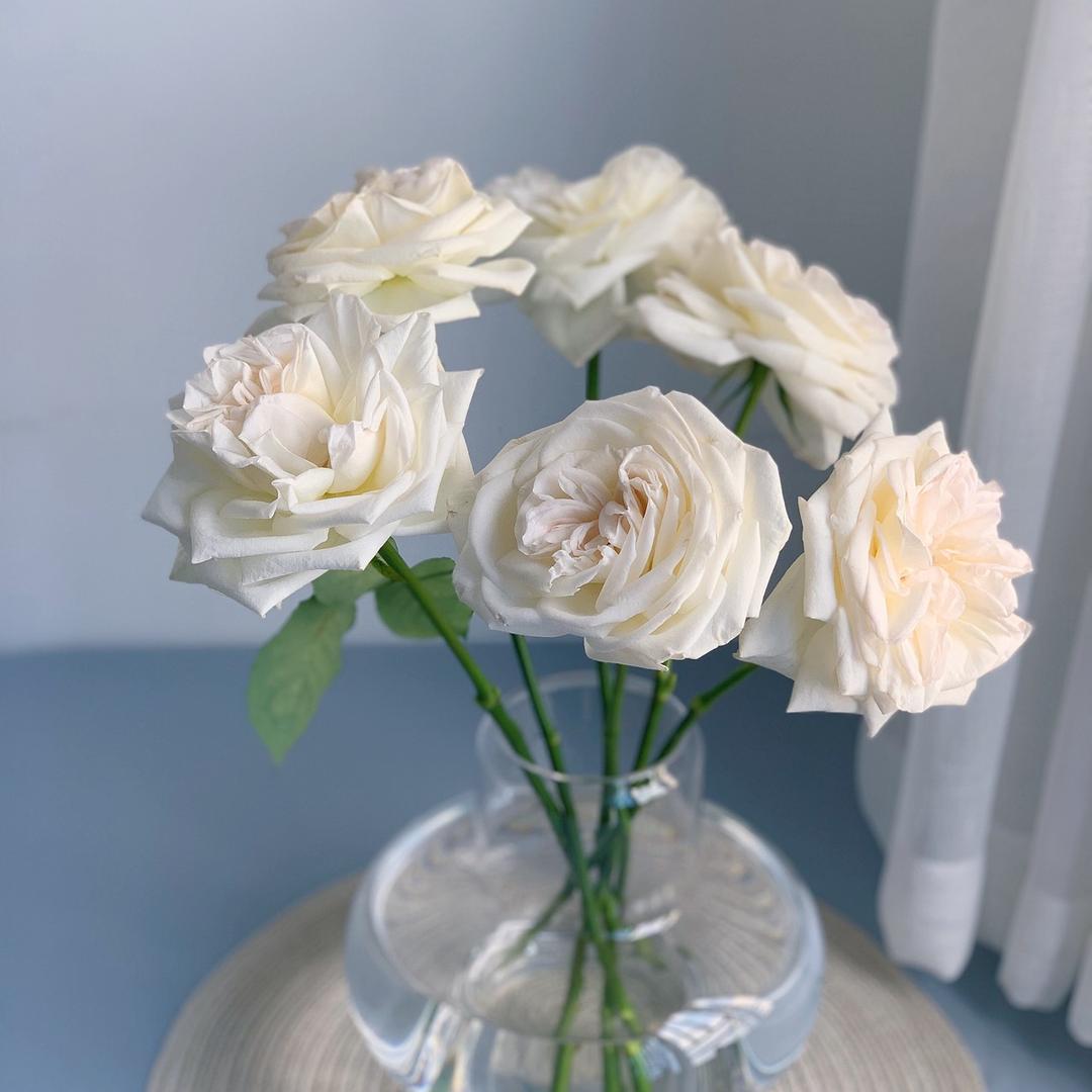 花与花匠鲜花