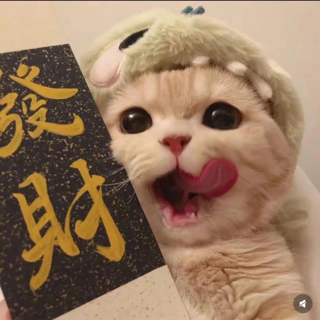 健曲服装供应链