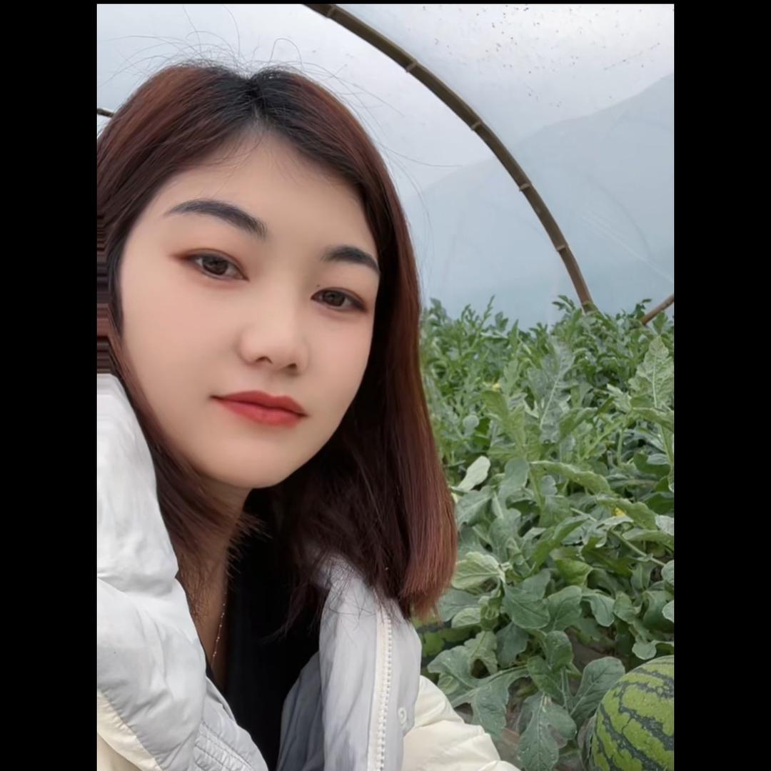 西瓜种植小张