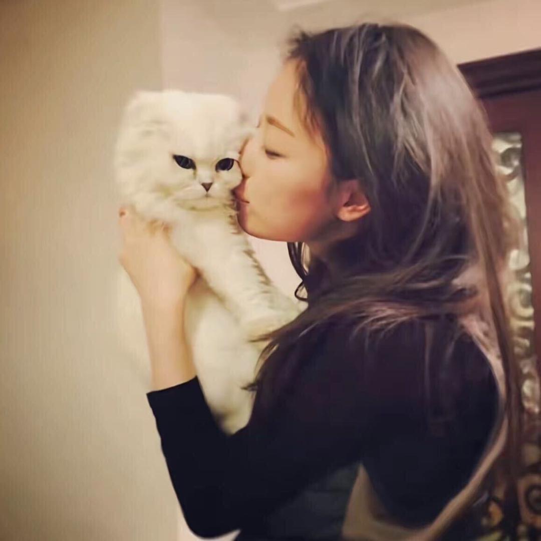不会辅助的姚