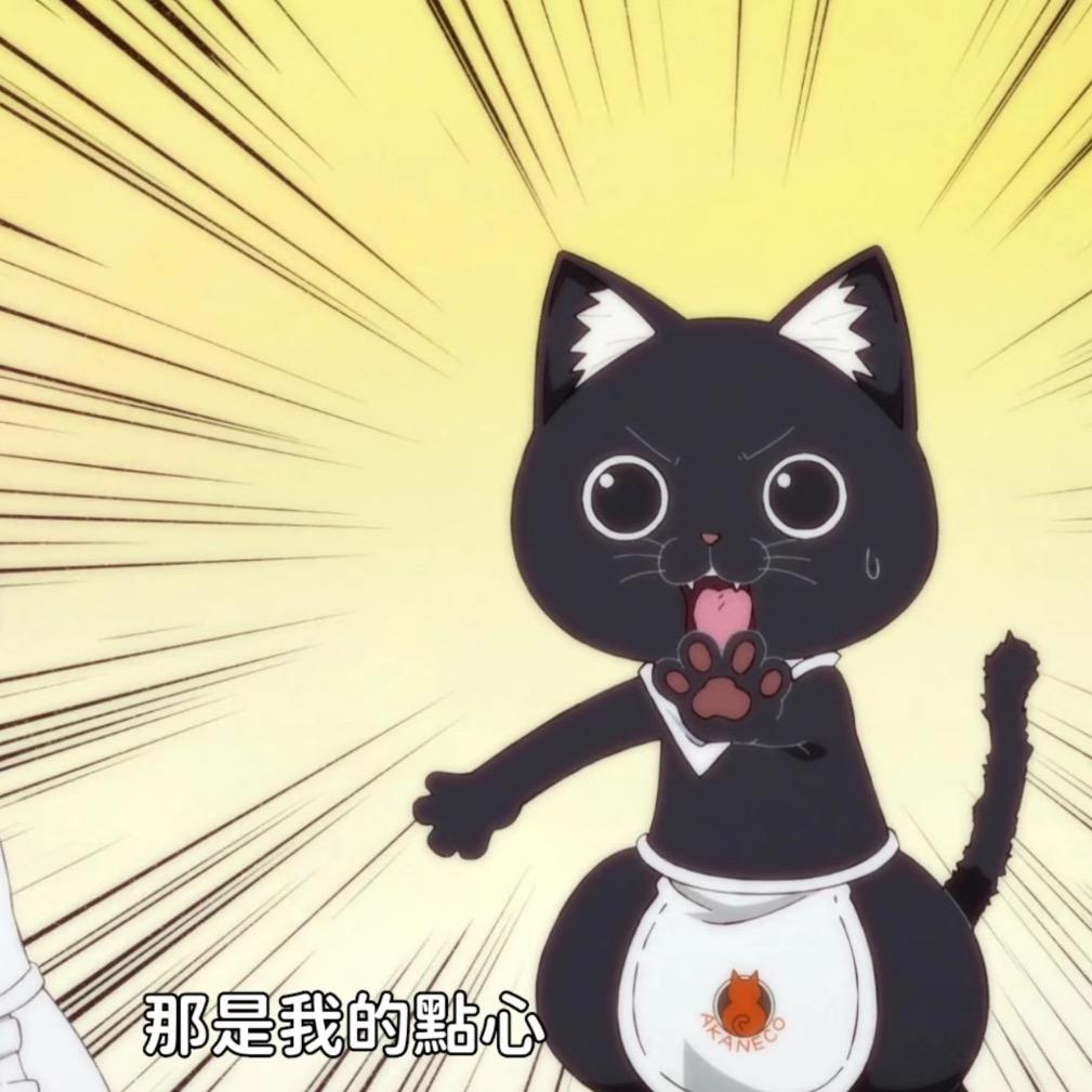 哦哦