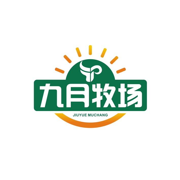 小宝哥甄选