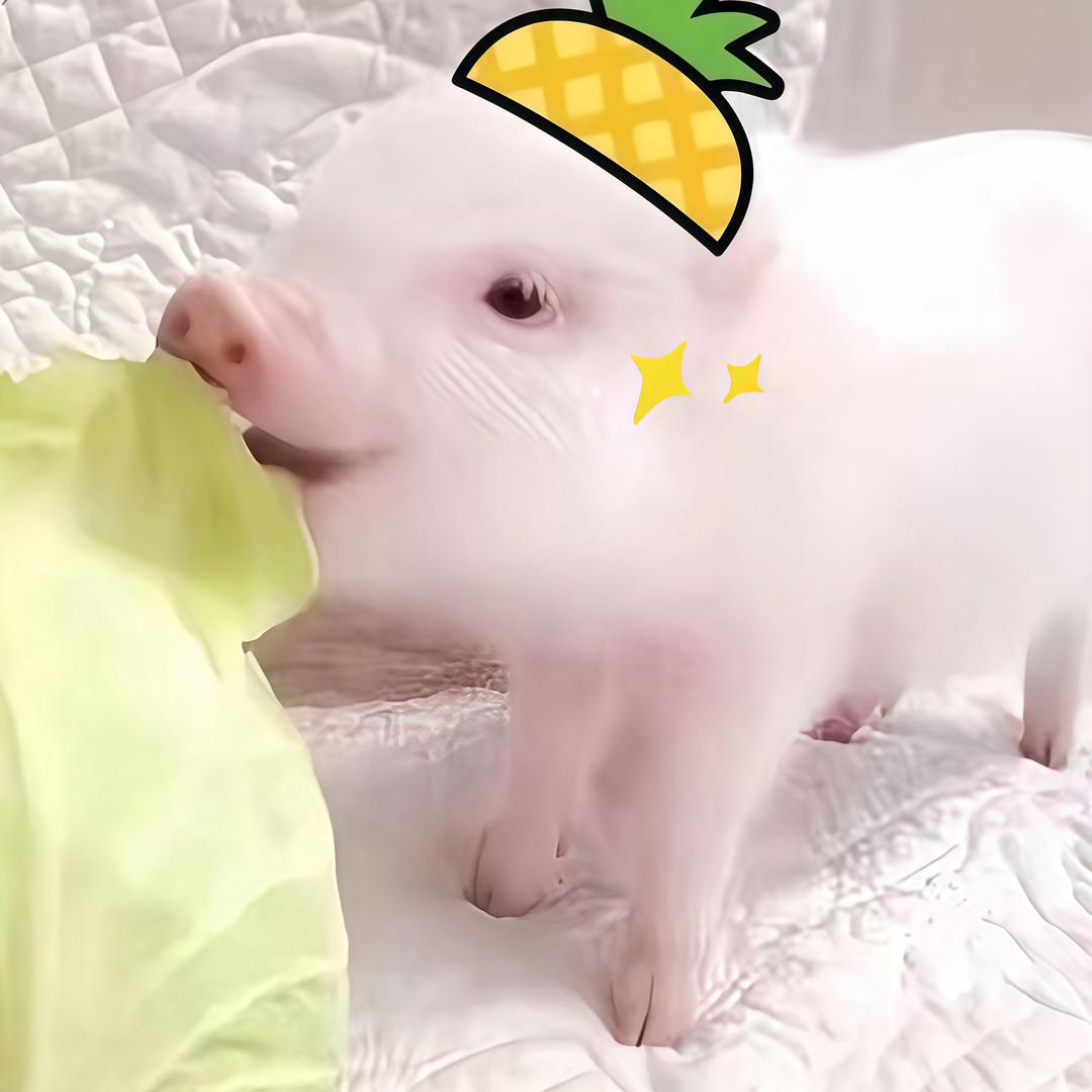 不听