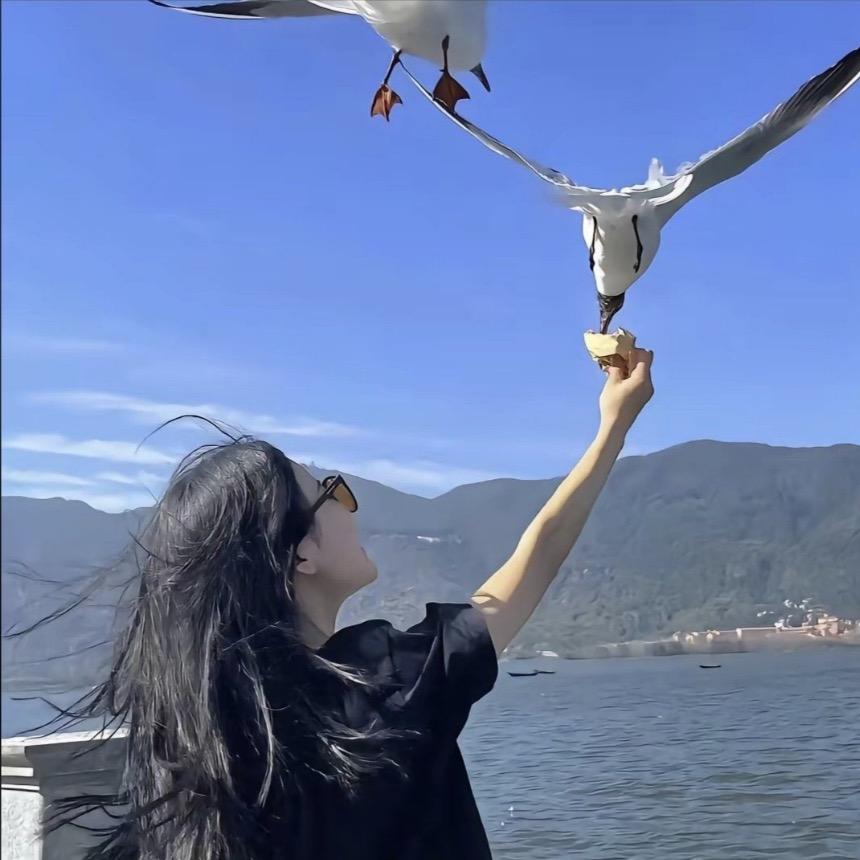 晚柠💕