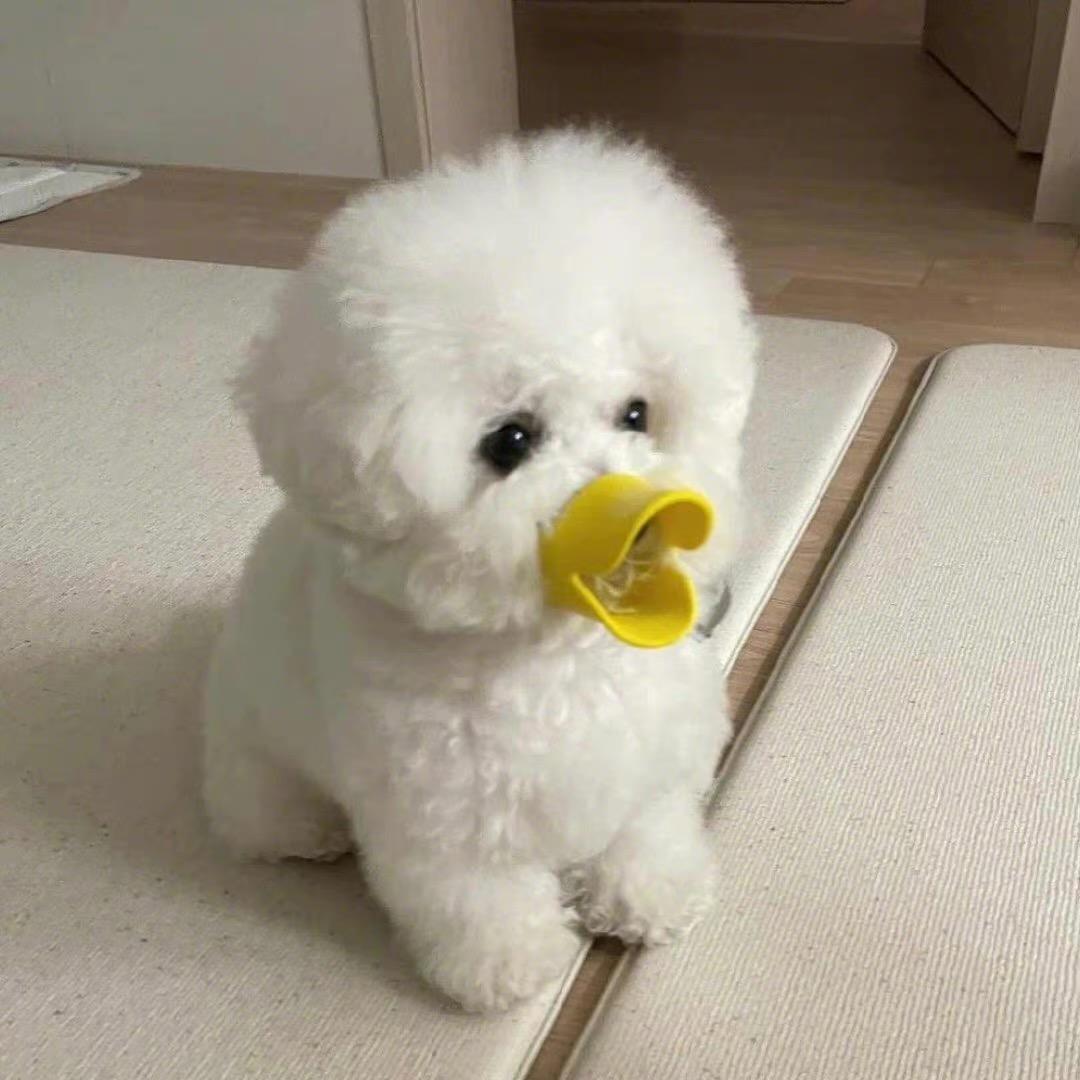 我是草鸡