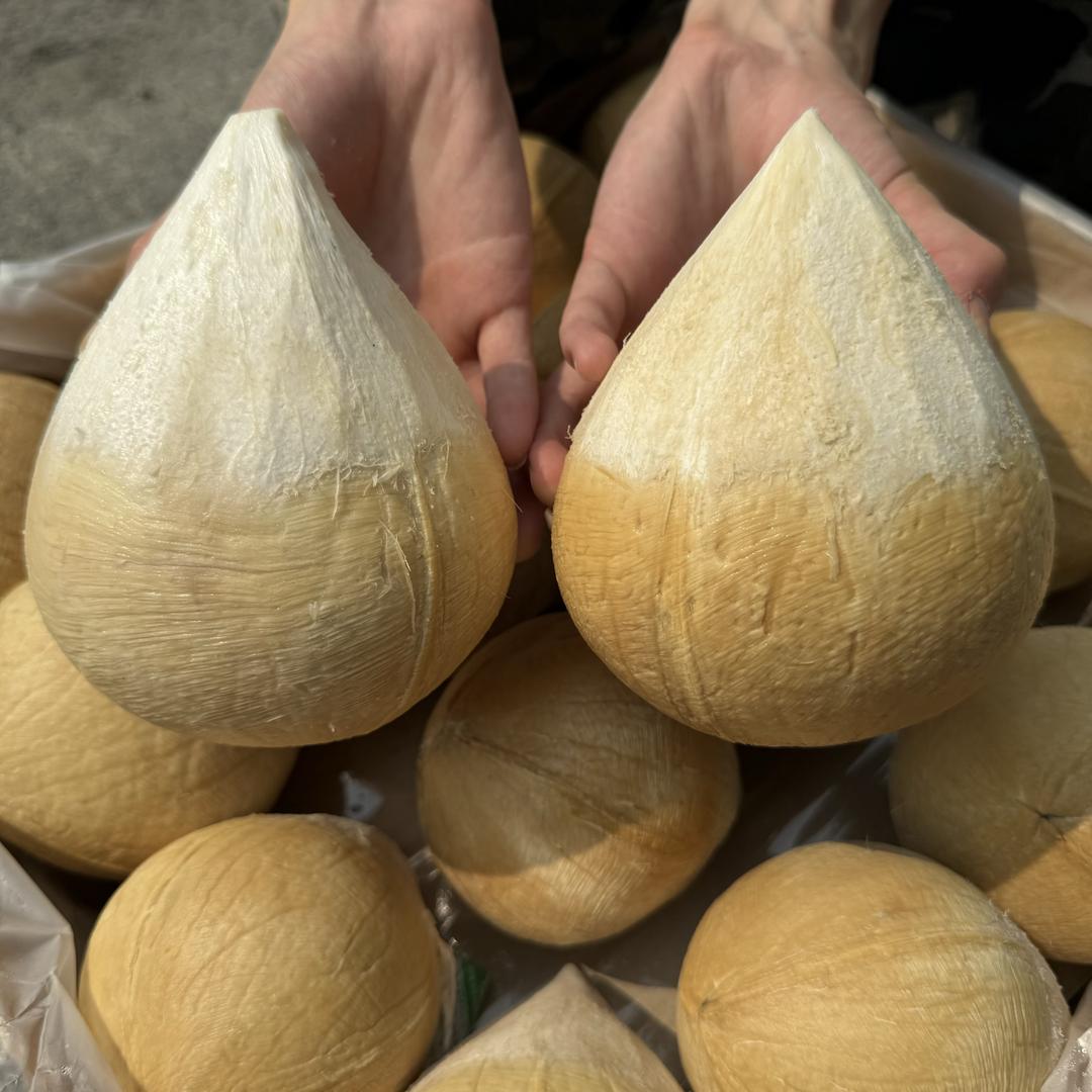 小老弟高端水果椰皇季