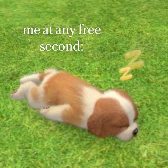 S̼ī̼