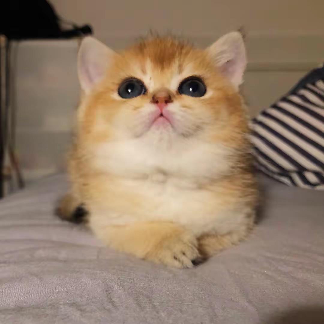 留煞百货