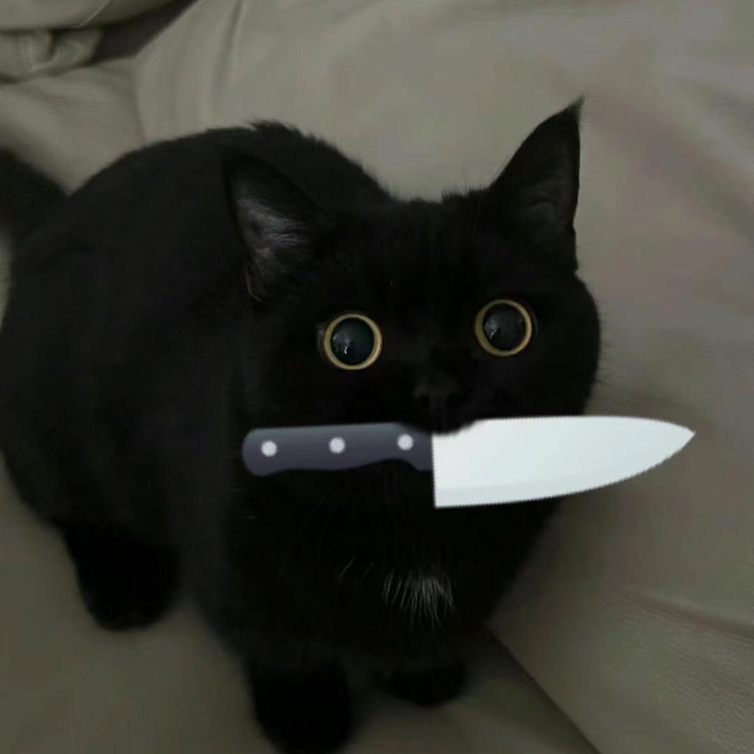 杉杉_。