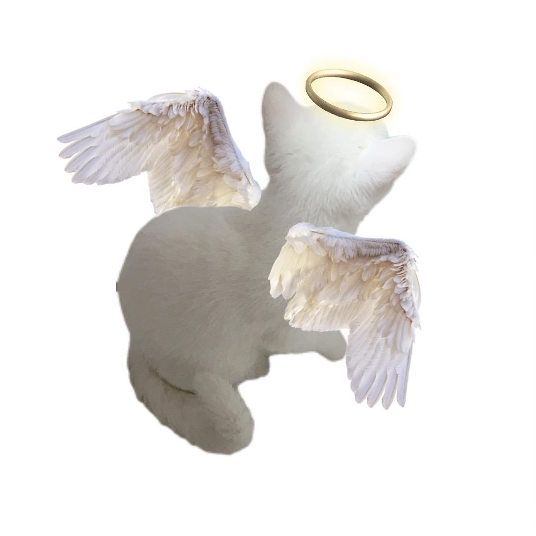 不重要不重