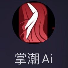 掌潮AI 官方号