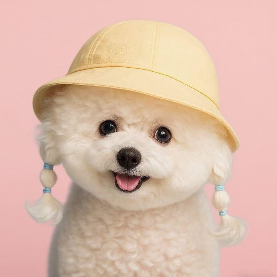 舟山金融投资