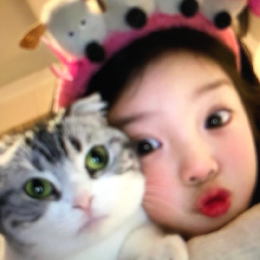 菁菁是我