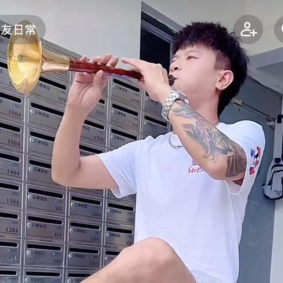 Qz强子