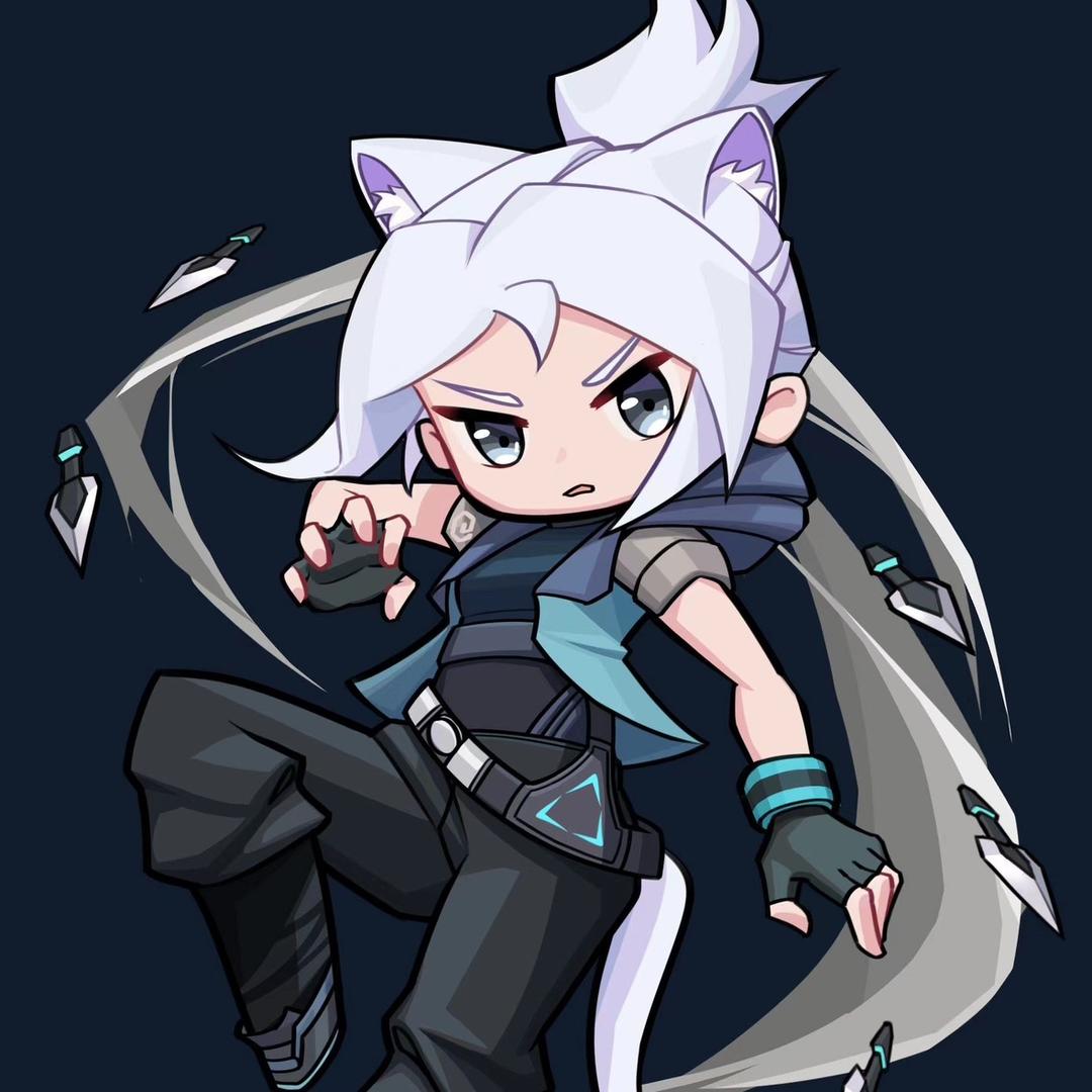 银河Jett
