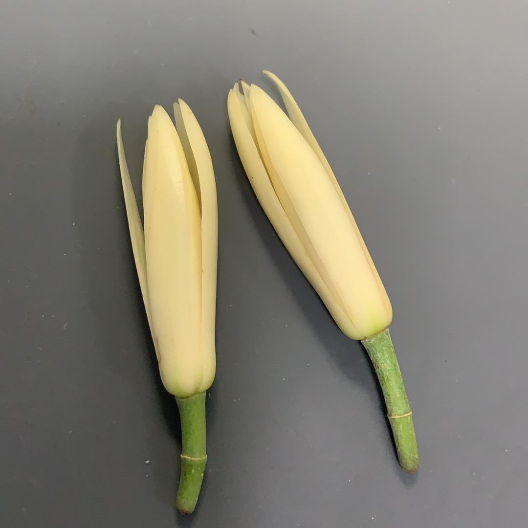 啊谁在掉眼泪