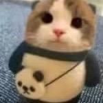 人形蛙