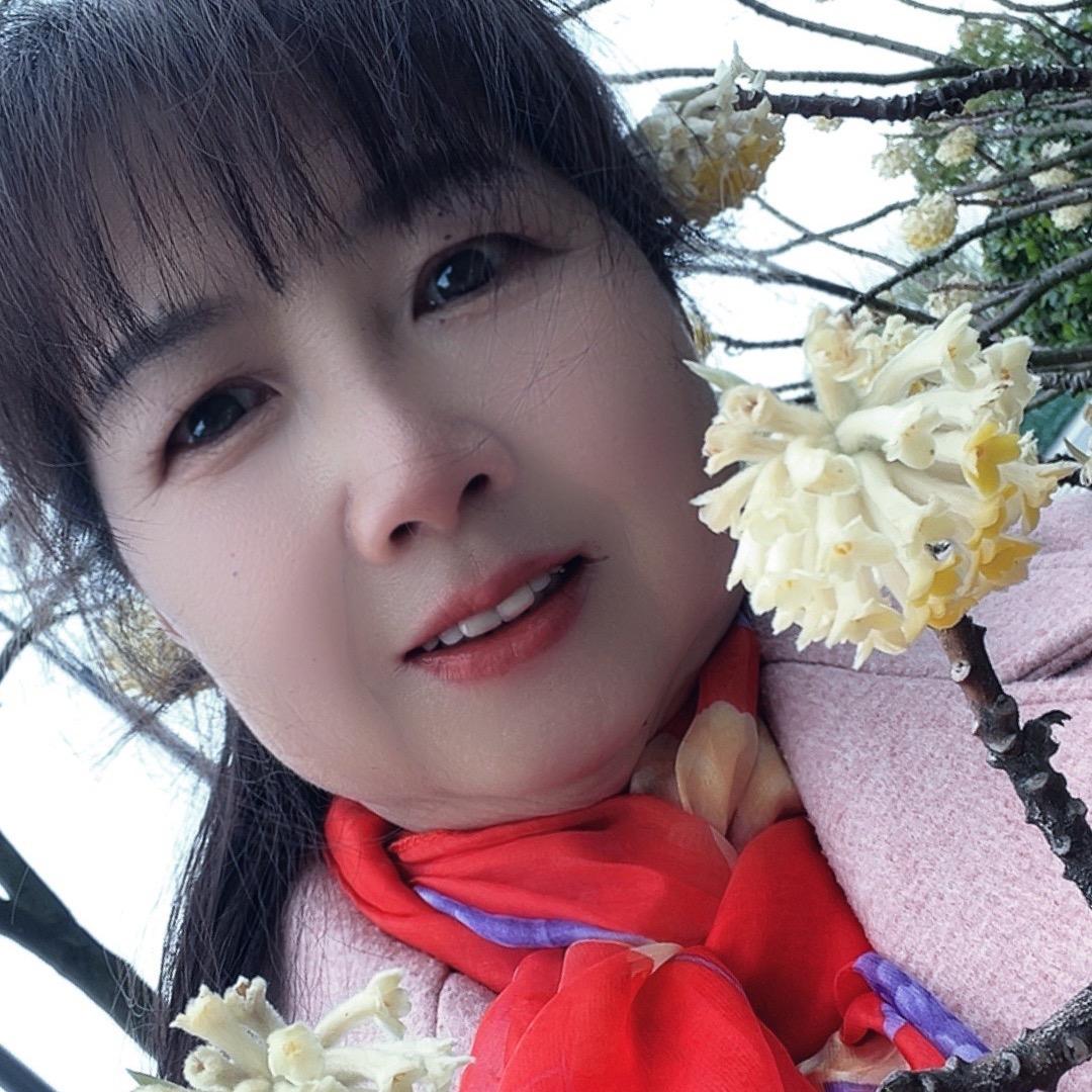 锦上添花