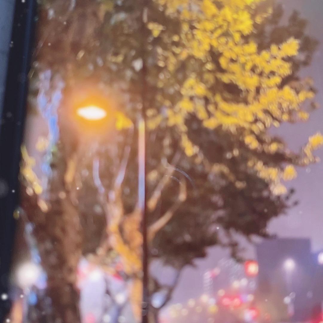 胡沛鑫