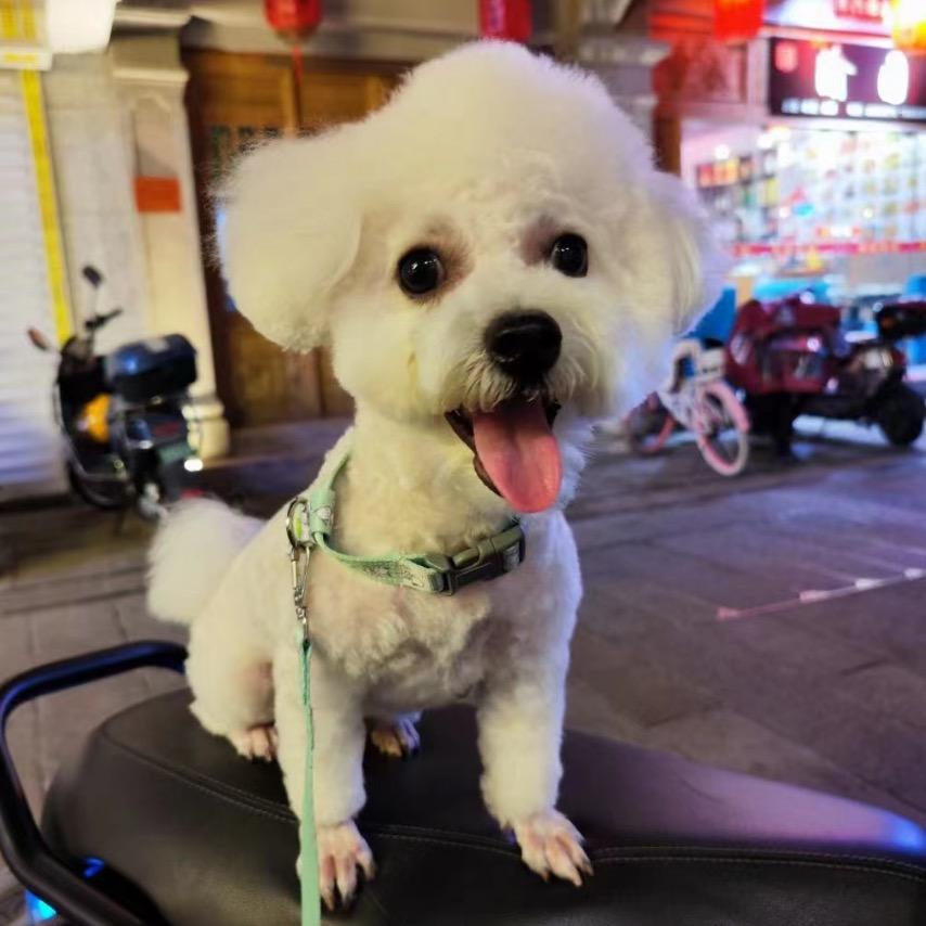 周生生珠宝