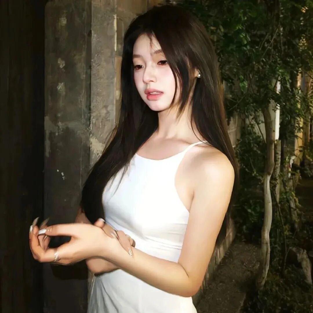 豹豹