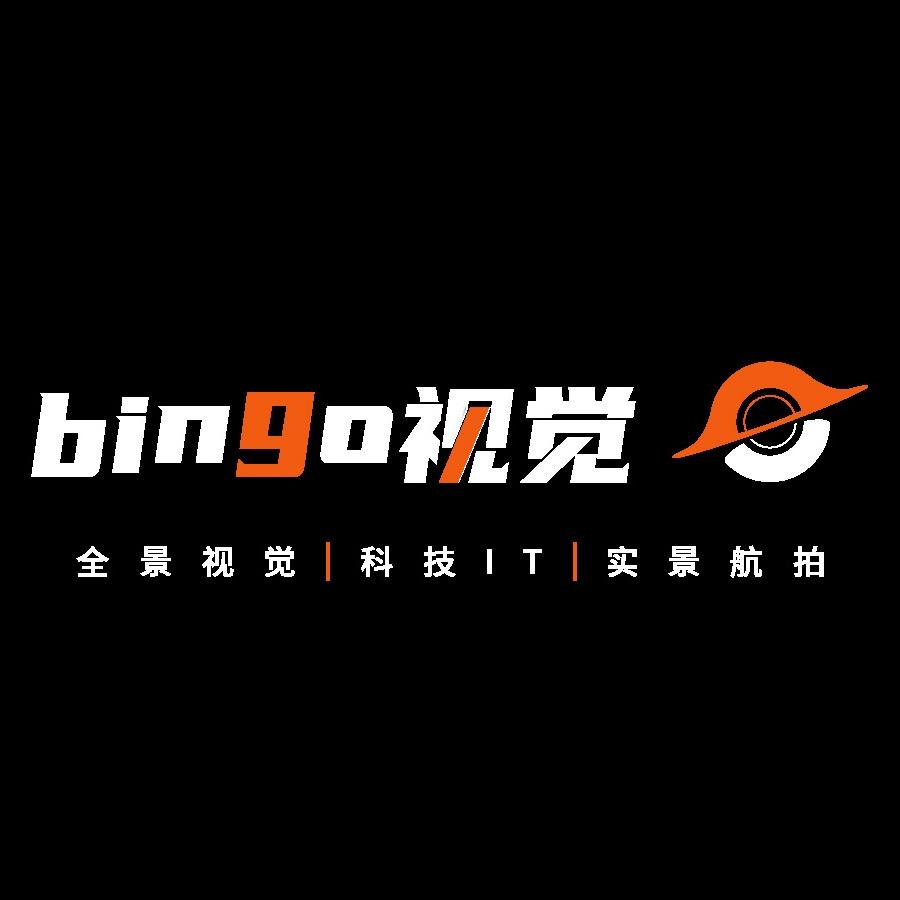 bingo视觉