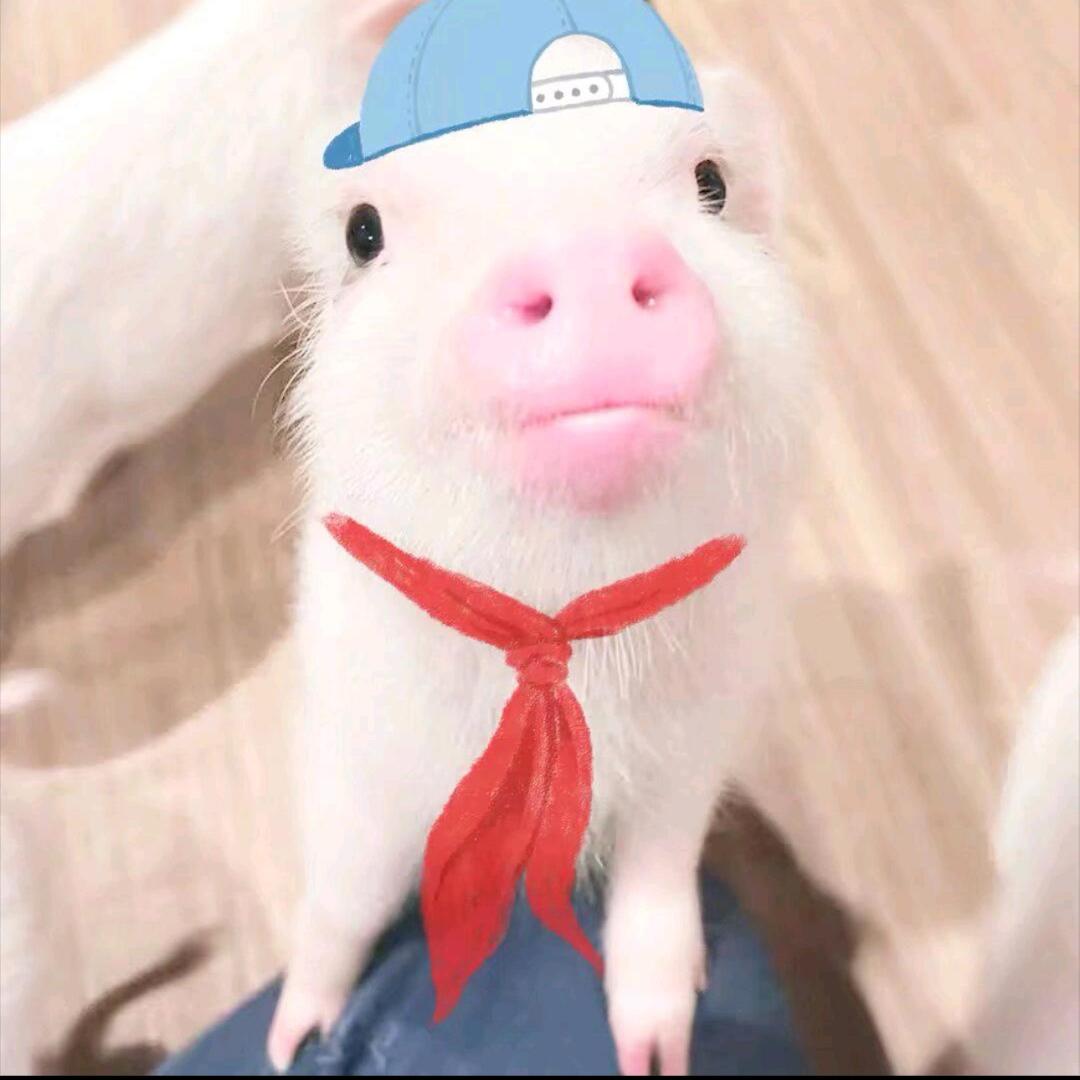小小恒大王
