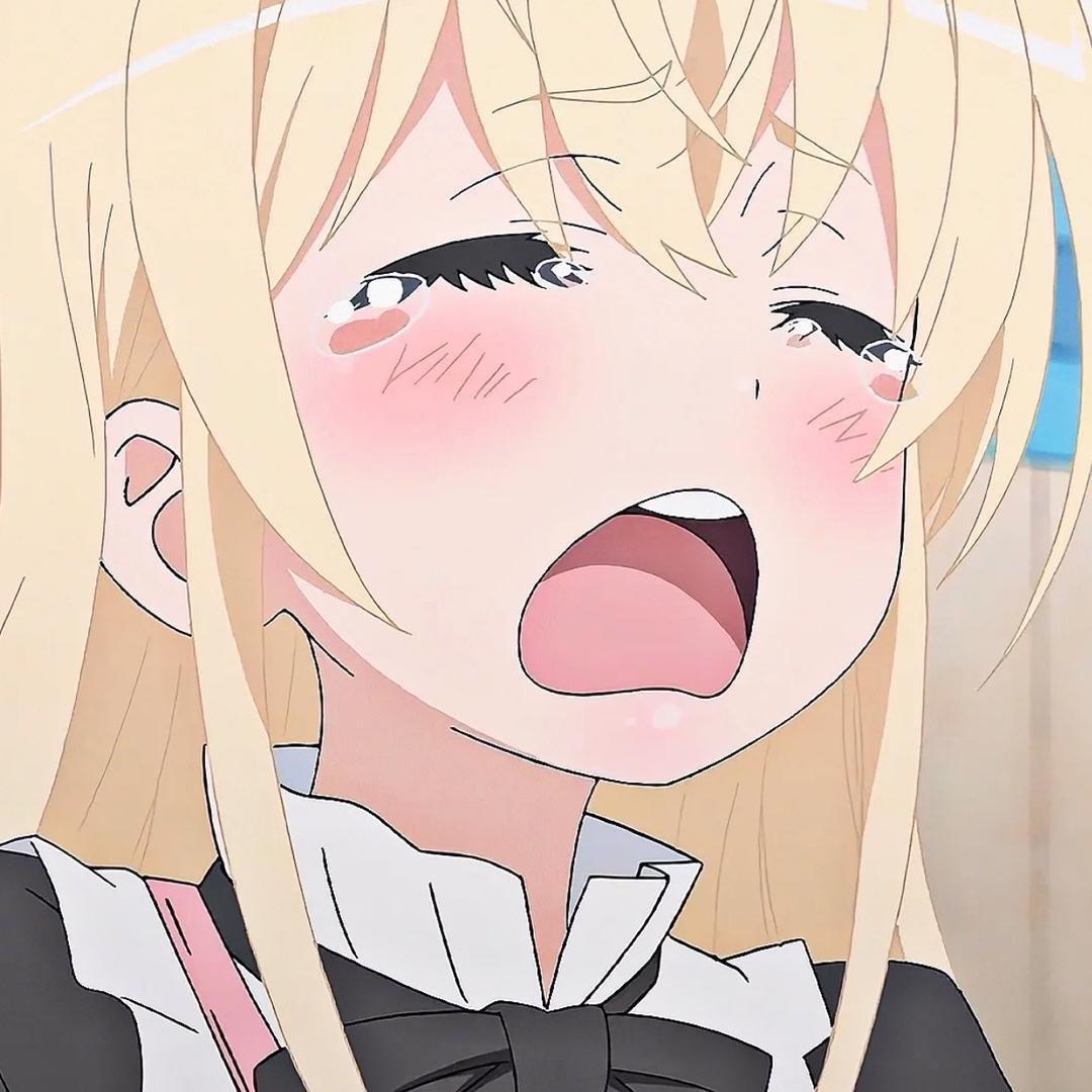 爱吃丸子