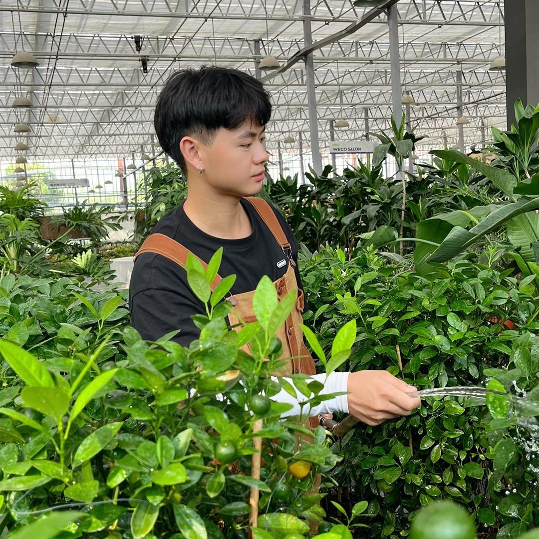 不会种花的紫青