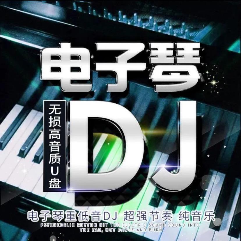 电子琴DJ纯音乐