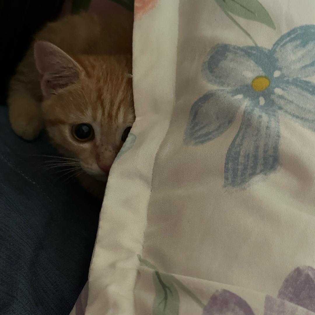 随❤️缘